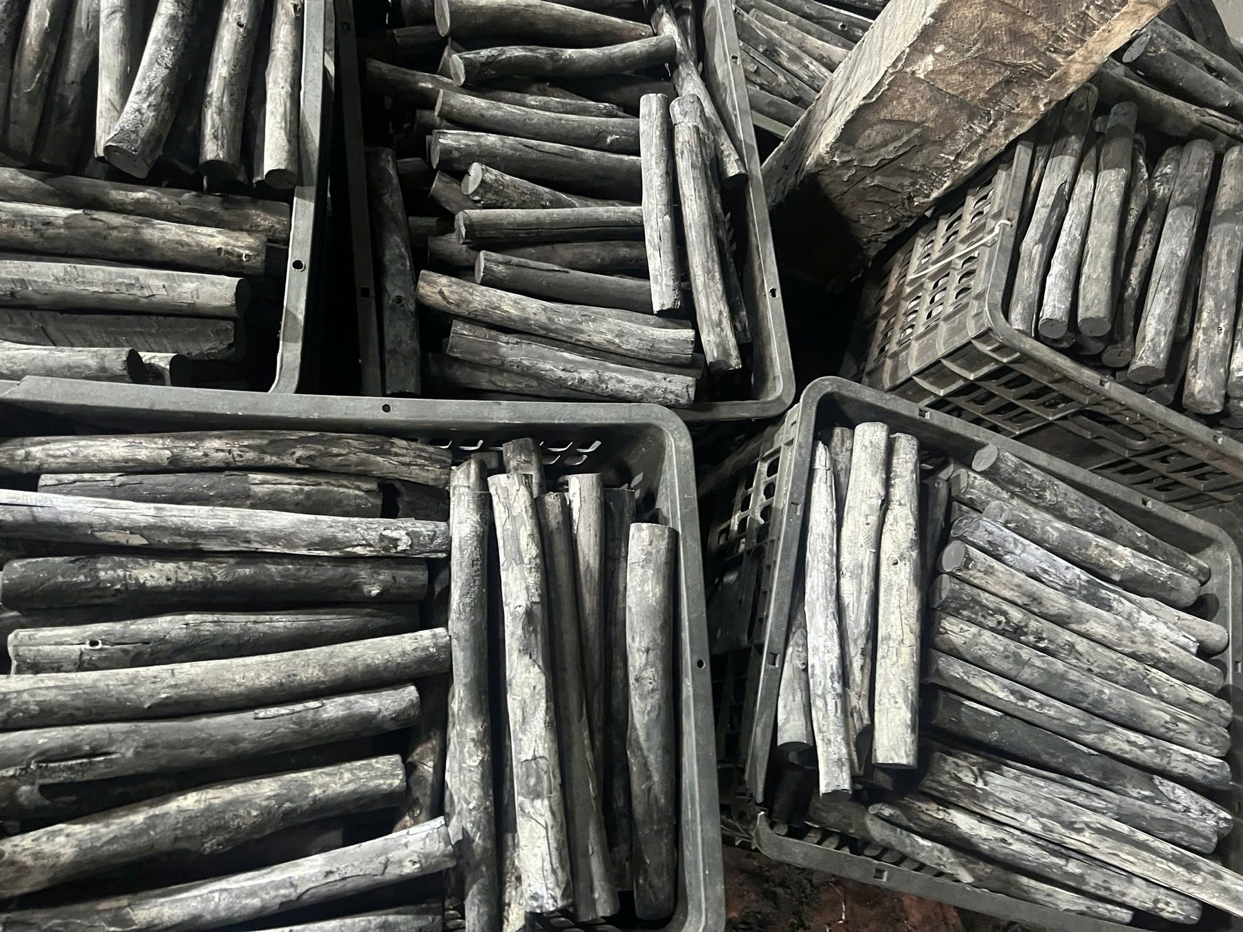 SOHI Vietnamese eucalyptus white charcoal